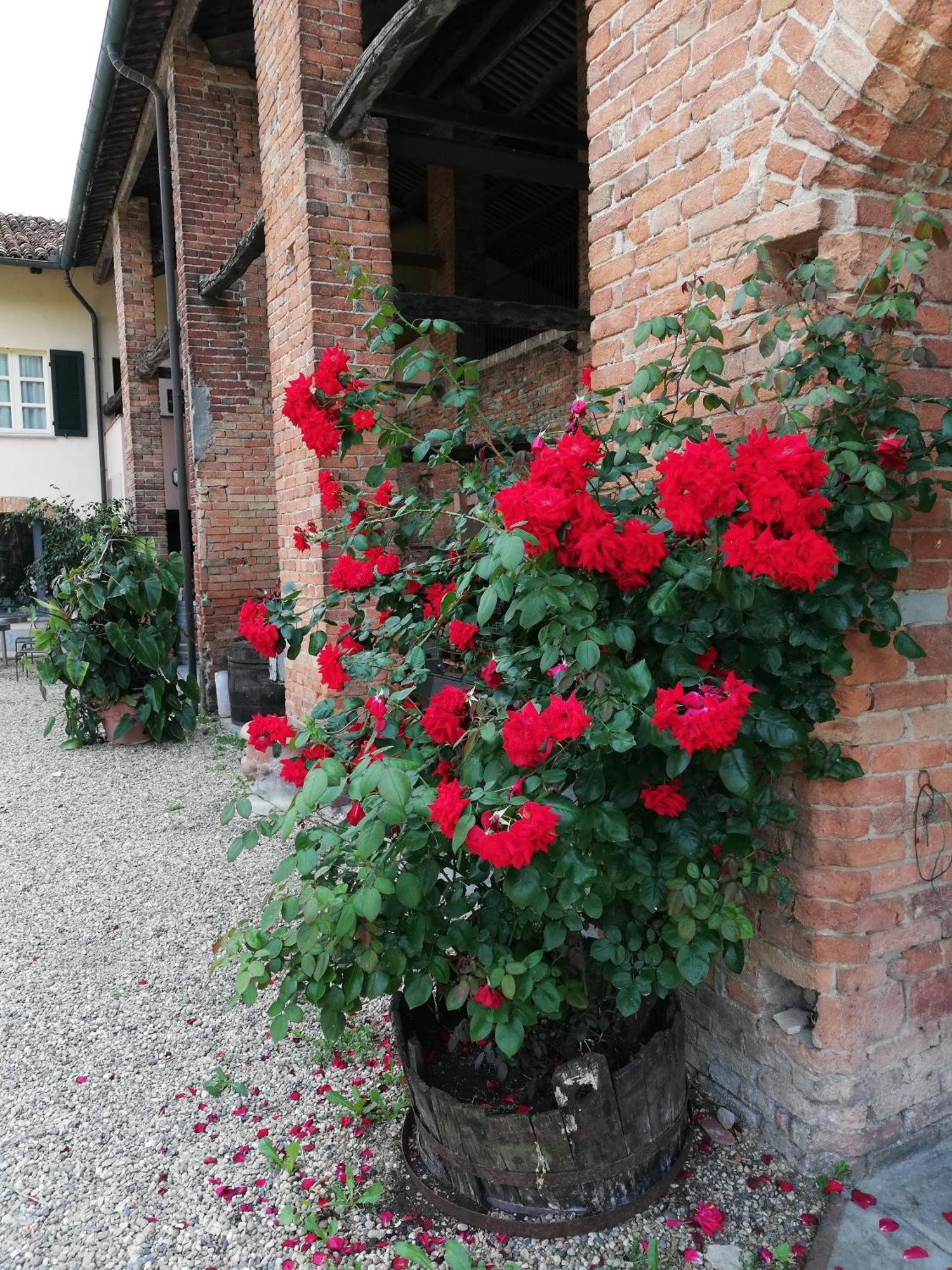 La Giribaldina Winery & Farmhouse Calamandrana Exterior foto